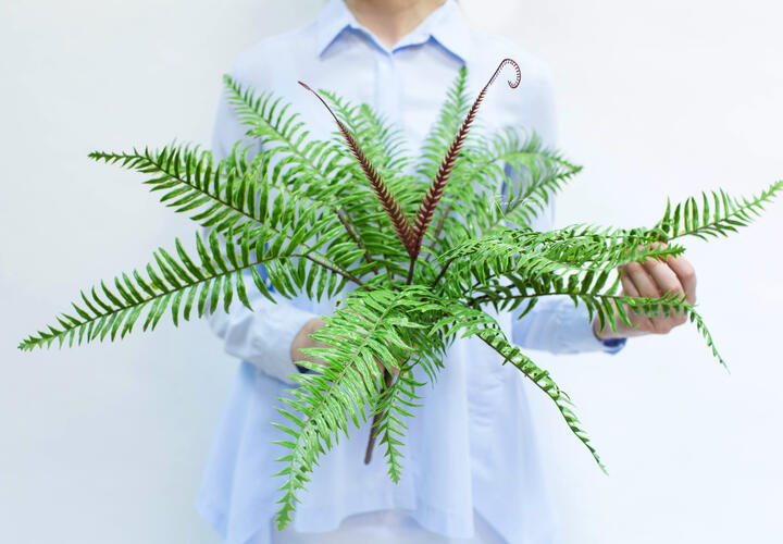 Real Touch Plants Artificial Fern Fake Fern Faux Fern